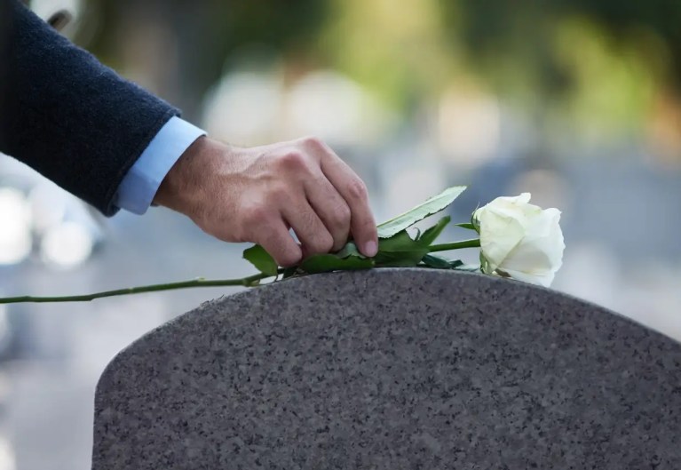 mão de homem deixando rosa branca em túmulo em homenagem